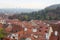 Red roofed houses top view