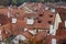 Red roofed houses top view
