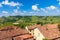 Red roofs and green vineyards in Piedmont, Italy.