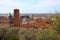 The red roofs of the inhabited houses, the church and the bell tower of the pietrasanta cathedral seen from the green of a hill at