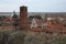 The red roofs of the inhabited houses, the church and the bell tower of the pietrasanta cathedral seen from the green of a hill at