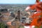 The red roofs of the inhabited houses, the church and the bell tower of the pietrasanta cathedral seen from the green of a hill at