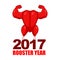 Red rooster strong. Red Symbol of new year. Powerful baked