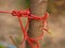 Red Rope tightened around tree trunk on natural bright background. Red rope with knot around brown tree. an outdoor climbing and