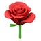 Red rose, 3d