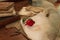 Red rose and beautiful quill on a vintage desk