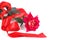 Red rose with beautiful ribbon isolated on a white