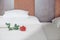 Red rose on bed. Romantic hotel room.