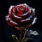 Red rose on a black background 3d render. Close-up. Studio photography. Perfect vibrant red rose glass rose on a dark background,