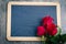 Red rose on blackboard