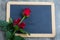 Red rose on blackboard