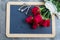 Red rose on blackboard