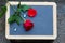 Red rose on blackboard