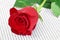 Red rose and book, for Saint Georges Day in Catalonia, Spain