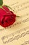 Red Rose Bud on Sheet Music