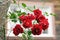 Red rose bush growing in front of a window of a country house