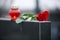 Red rose and candle on black granite tombstone outdoors. Funeral ceremony