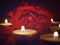 red rose with candles in retro style with blurred background close up in low key