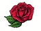 Red rose cartoon