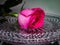 Red rose on a crystal tray with water droplets. Flower of love.