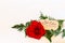Red rose and fern on white background with God Bless Your Anniversary written.