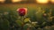 Red Rose in a Field of Greenery, Made with Generative AI