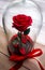 Red rose in a flask under the glass. As a gift for the holiday.