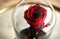 Red rose in a flask under the glass. As a gift for the holiday.