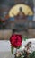 Red rose flower on the background of the icon of the virgin in Cyprus