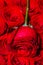 Red rose flower. Close up of red roses and water drops. Roses in flower shop. A red rose bloom. Rose petals. Natural