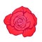 Red rose flower isolated hand drawn. Stock line vector illustrat