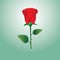 A red rose flower with leaf for love