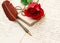 Red rose flower old letters antique feather pen