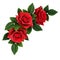 Red rose flowers corner arrangement