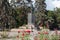 Red rose flowers with a statue of communist Lenin on the background