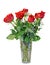 Red rose flowers in a transparent vase, green leaves, close up, white background, isolated