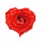 Red rose in the form of heart