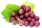 Red rose grapes isolated