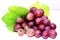 Red rose grapes isolated