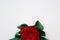 Red rose with green petals made by hand from satin ribbon