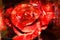 Red Rose - Grunge abstract textured background