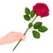 Red rose in hand gift to your favorite art