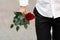 Red rose in hand, sent roses represent love on Valentine\'s Day. Anniversary proposal and engagement idea. Part body man with one