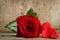Red rose with handemade valentines around