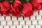 Red rose and keyboard