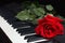 Red rose on the keys of the digital piano on black background