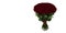 Red rose. large bouquet of 101 red rose