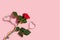 Red rose and LGBT community pride rainbow ribbon awareness on pink background