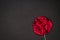 Red Rose Men& x27;s Lapel Pin on black textured matt Isolated