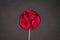 Red Rose Men& x27;s Lapel Pin on black textured matt Isolated